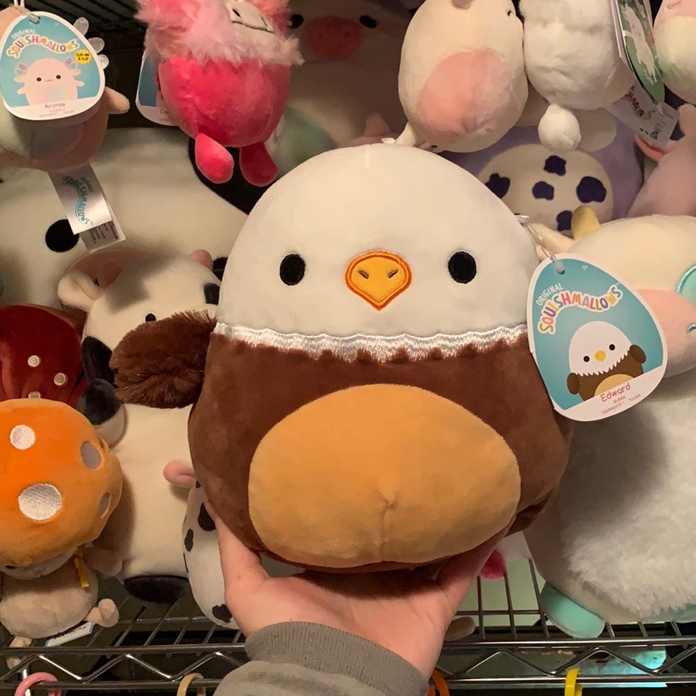 edward eagle squishmallow 8”